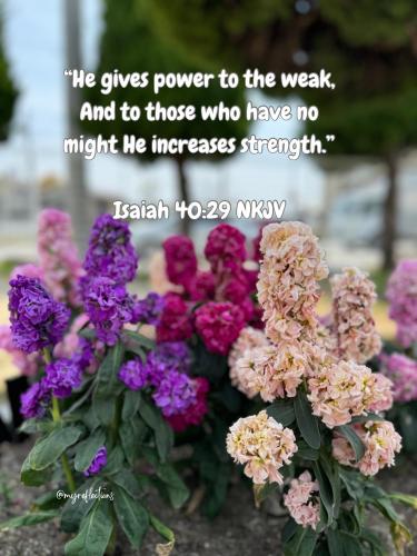 489820132_678228768481524_6829567264944265367_n