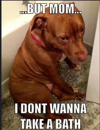 FB_IMG_1744053269087