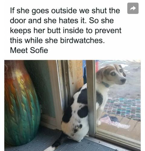 FB_IMG_1745609041648