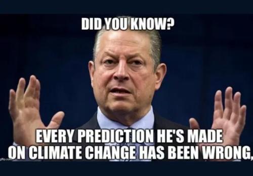 AL GORE  LOSER