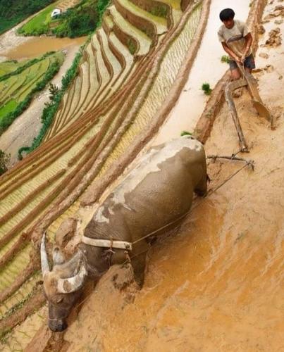 FB_IMG_1555889432180
