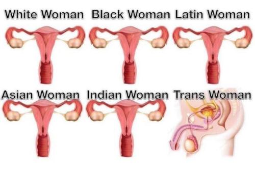 IMG_20250417_194140_563