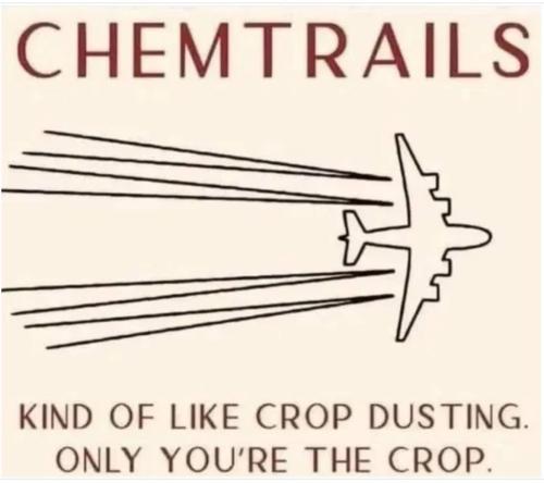 IMG_20250427_231147_908