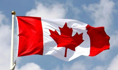 Screenshot_20250404_071655_Google