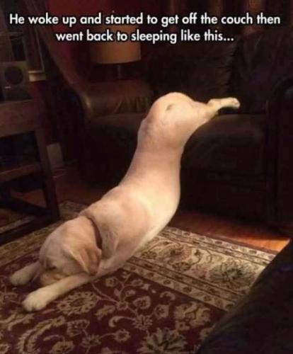 FB_IMG_1744053287491