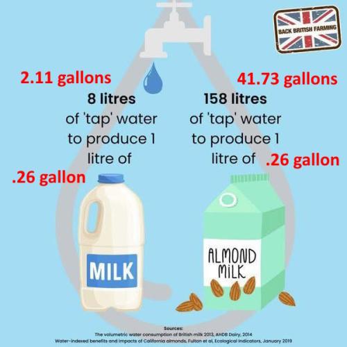 488686601_967514042196901_5708070885663289542_n