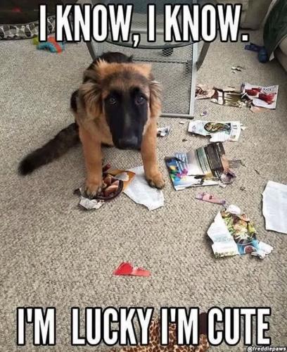 FB_IMG_1744124185732