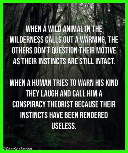 IMG_20250404_054112_546