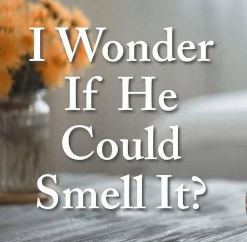 e834e5ed-6c0a-48eb-bf02-2d6972f2a1f9