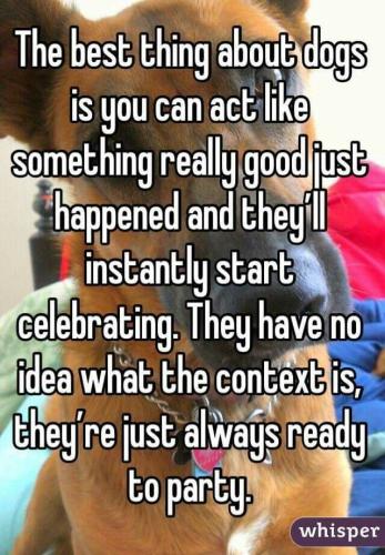 9e8f0cfeb8a98cf648520b06d3055caa