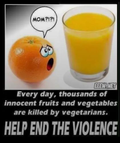 image_E3624655-6BCB-4EE4-A46C-84BC86399714