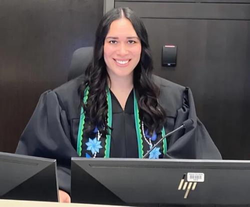 WISCONSIN JUDGE SNATCH