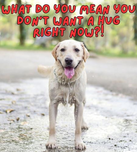 FB_IMG_1744505286649