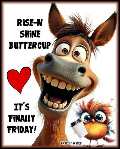 IMG_20250413_184819_222