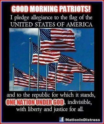 229faf49dc03c5a3b3095d76006ffdd9