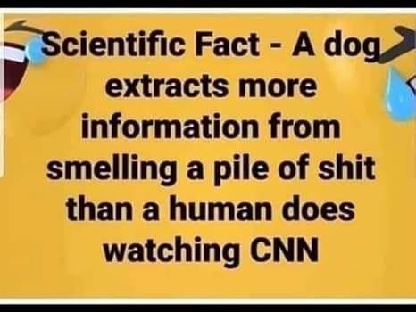 79685140_10218863851021338_8019740136851898368_n