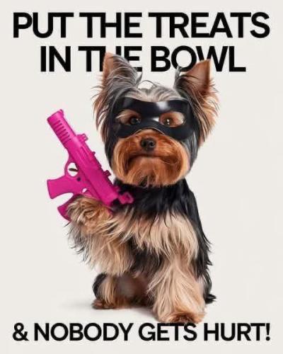 FB_IMG_1743778476170