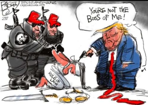 FB_IMG_1745082927931