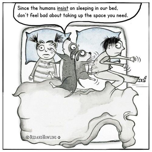 9e996ffabb235b3b456bbd8654555e0b