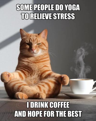 FB_IMG_1743445666097