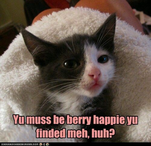 f9f258de75d6c9a372706943d7673d54