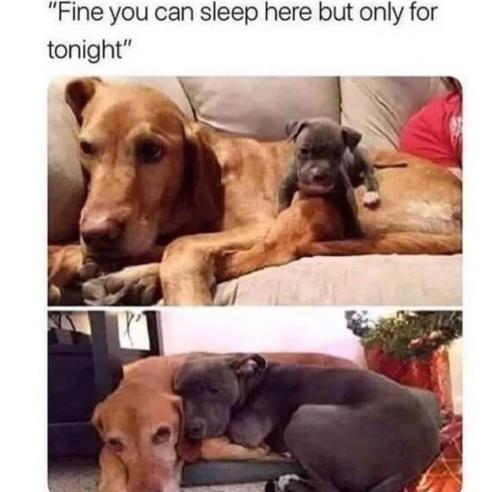 8BB5AECF-8B15-4EAF-AE3F-0050AEFEA62D