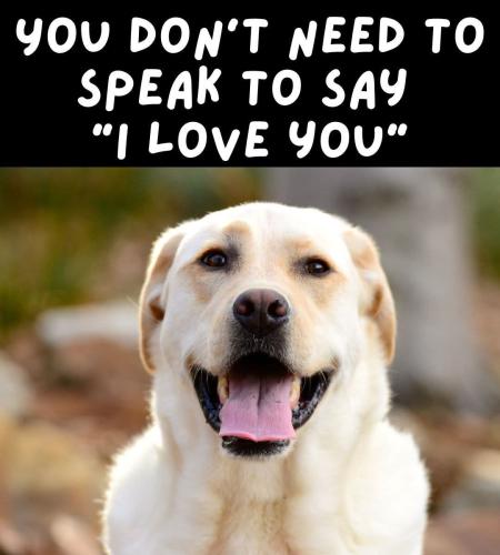 FB_IMG_1743539071488