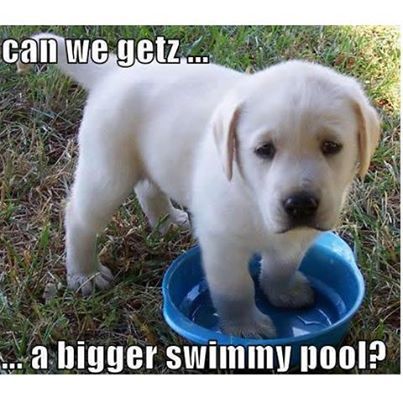 4f52d6c2bacccd29a80d6304383de4b6