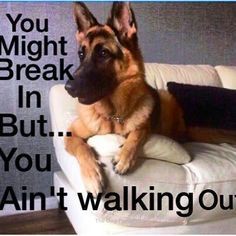 f35038857642bda380f2df96886ad885