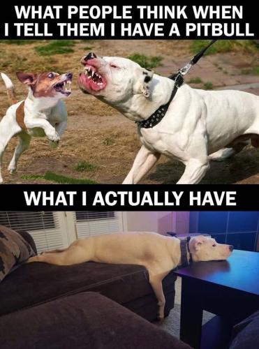 FB_IMG_1744988351554