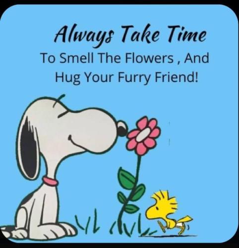 d06b0ef814324ef3687fa498207e6374