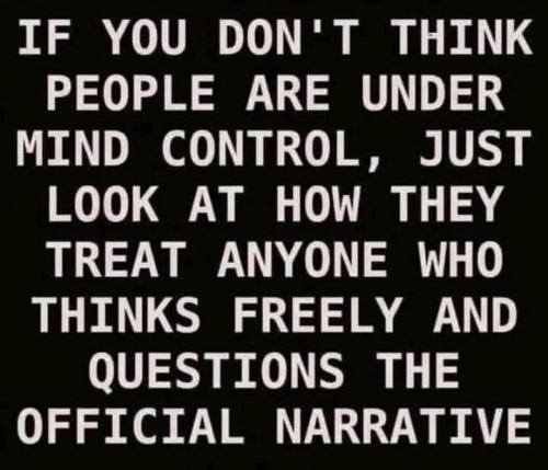 FB_IMG_1740523208320