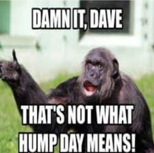 Screenshot_20250409_064531_Gallery