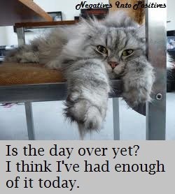 b937f9eb0b9a422d4e758d2324088a55