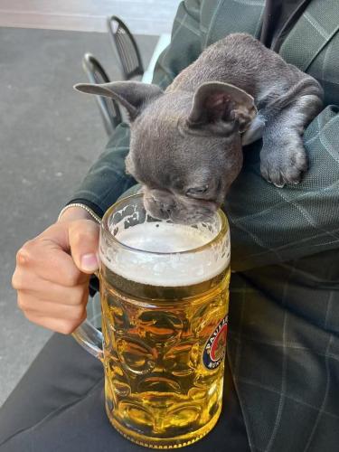 FB_IMG_1744990984837