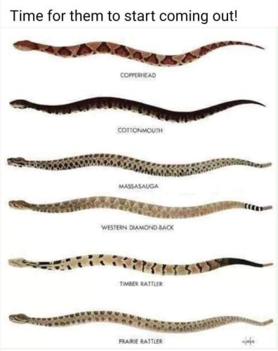 33D9AFDA-B5F9-44CC-81E3-00913B17D12C