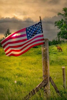 b6e723d36f5a4cf4c71ceb24cb9f6452