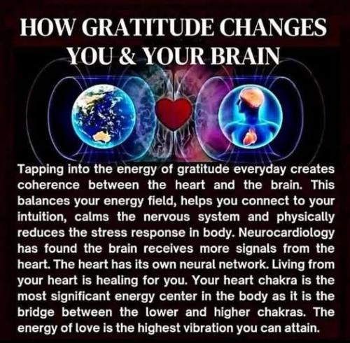 490695357_4598972823662484_6876232854133428925_n