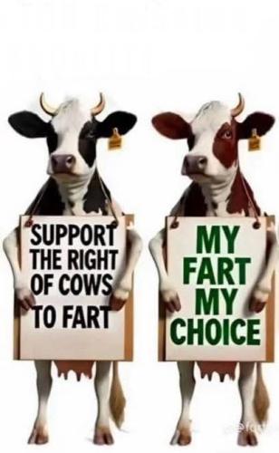 FB_IMG_1743722897803