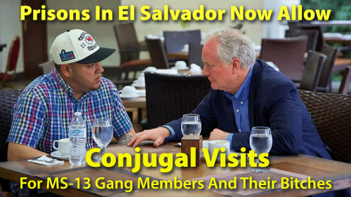 image_A0891E58-BAB3-4552-AF1B-25E2ED310842