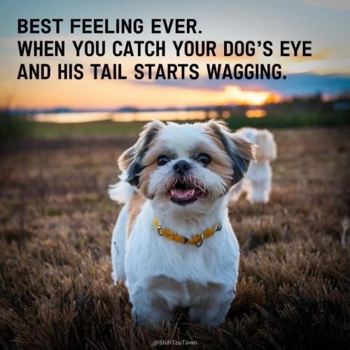 2c4a43ff48d7bd221e55c6a35440a890