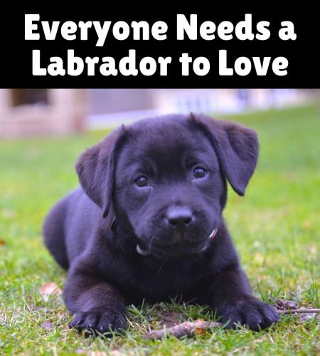 FB_IMG_1743538951503