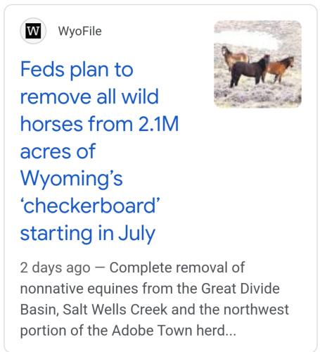 Screenshot_20250403_100709_Google