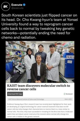 South Korean cancer cure