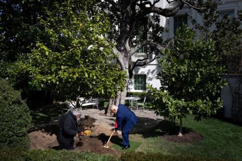 FB_IMG_1744143491014