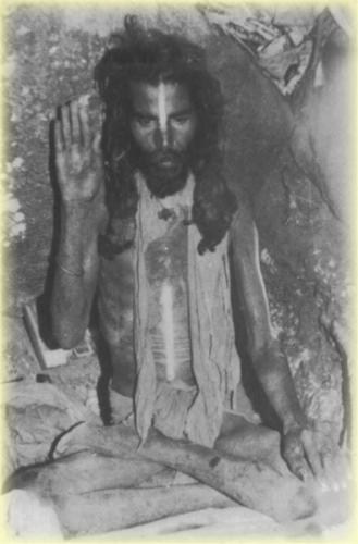 ,     ,       273410949_71196934381