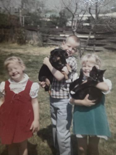 663A70E8-C755-482F-AF64-EA0A96ECFE4C