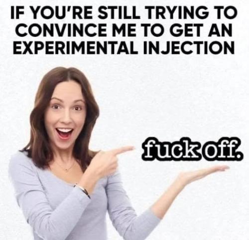 492302503_122137366454595365_4468893956218678064_n