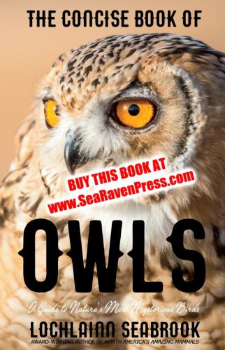 TheConciseBookOfOwls-PAPERBACK_BUY