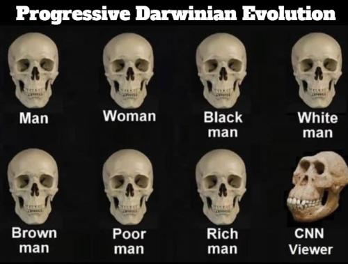 Progressive Darwinian Evolution.827px